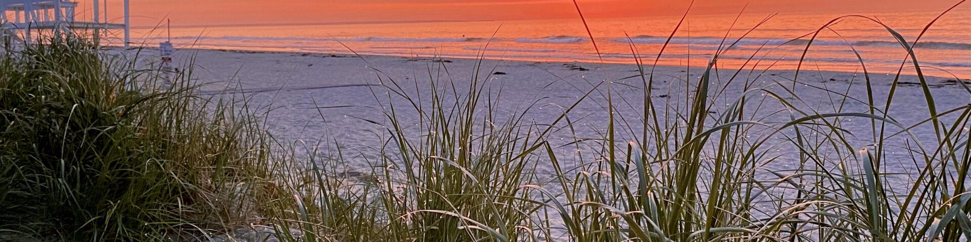 Ogunquit beach, sea grass, red sunrise