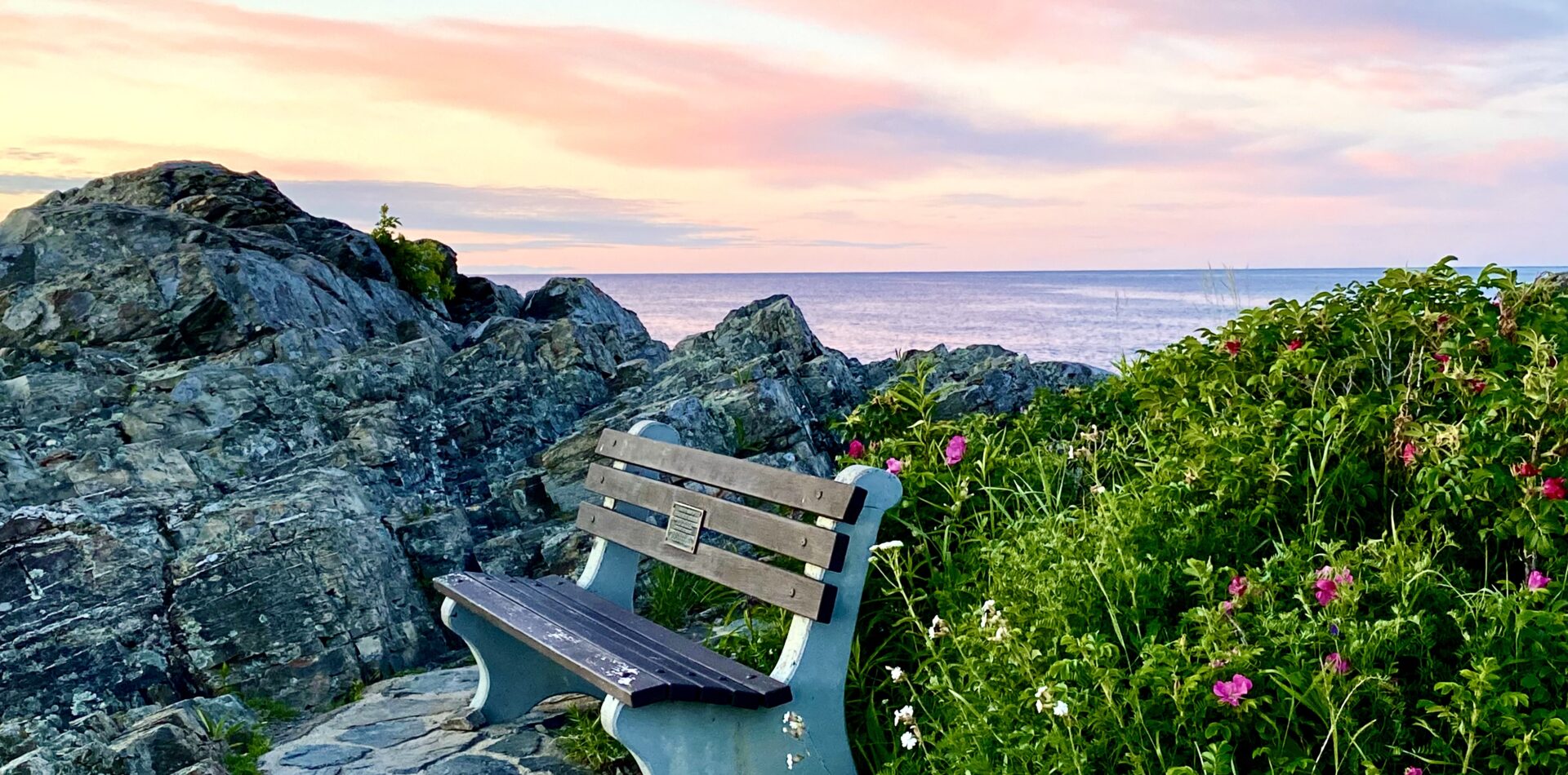 Rocks, bench, beach roses, Marginal way